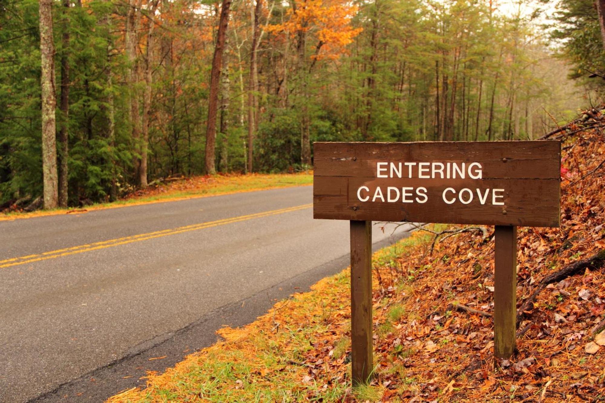 Bridgewood Cabin, Hot Tub, 1089 Of Free Attraction Tickets For Each Paid Day, Dollywood And More! Pigeon Forge Esterno foto